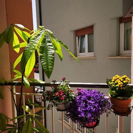Apuleio 11 Apartment Roma Ngoại thất bức ảnh